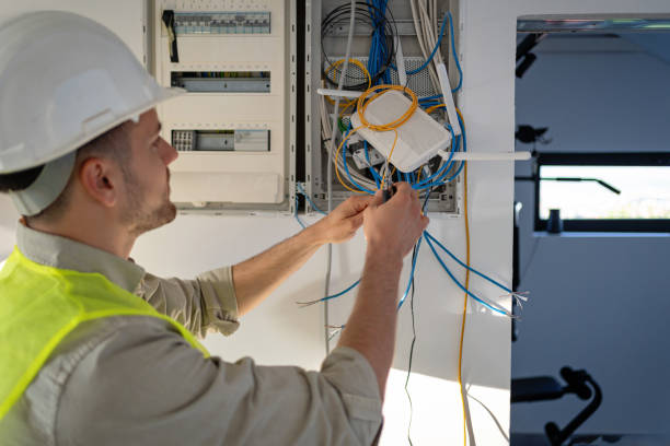 Best Electric Panel Repair  in Freer, TX